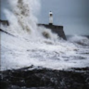 Meet your Posher, Dena